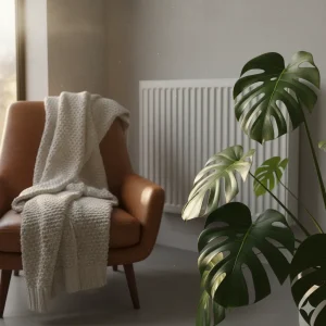 Calefacción y plantas de interior